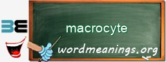 WordMeaning blackboard for macrocyte